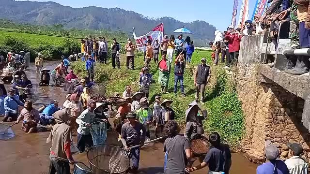 Warga Kalibening Gelar Gubyah Kemerdekaan, Satu Kwintal Lele Disebar di Sungai Brukah Banjarnegara