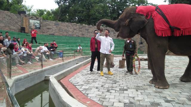 Serunya Berwisata ke Semarang Zoo, Petualangan Tak Terlupakan