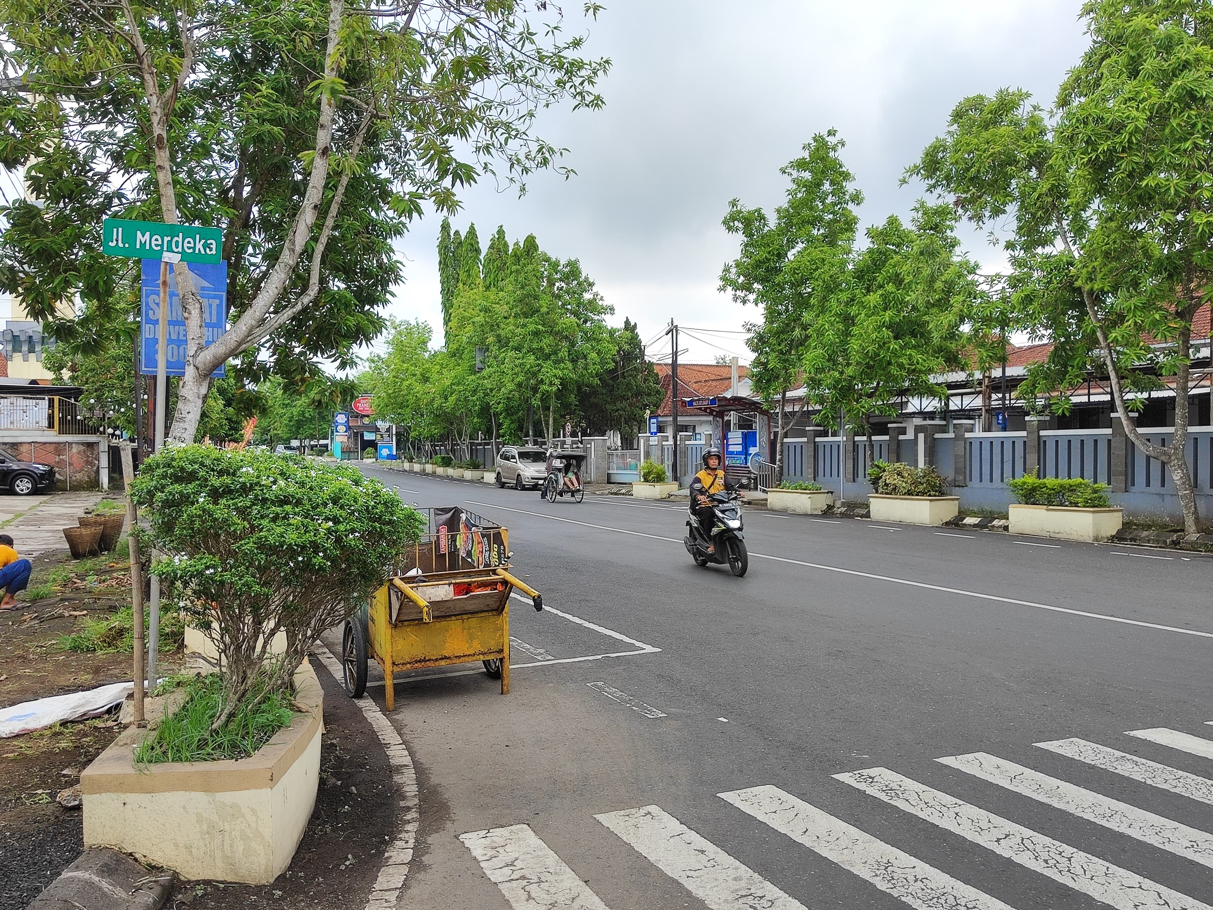 Aset RTH di Jalan Merdeka Purwokerto Akan Dibuat Database 