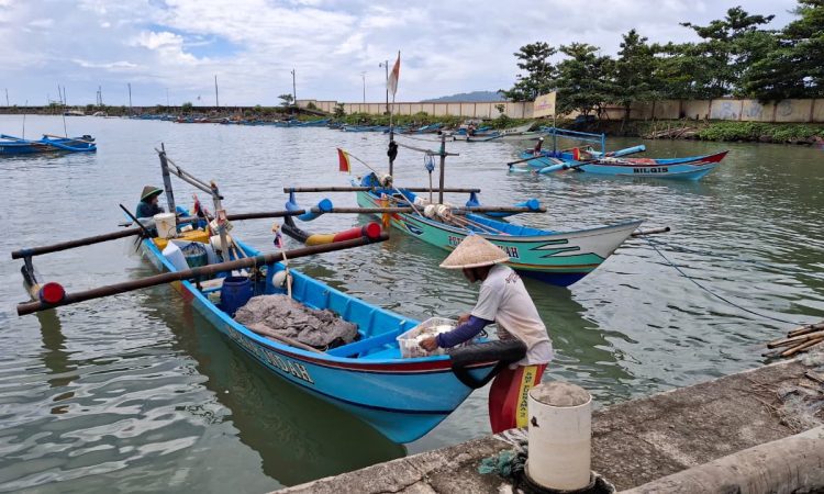 Bawal Putih Menghilang Jelang Imlek, Harga Terancam Melambung