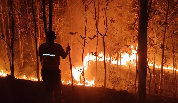 Karhutla Banyumas Hanguskan 23,9 Hektare, BPBD Catat 28 Kejadian