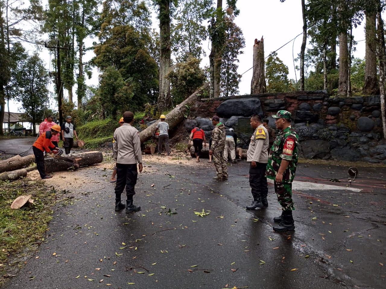 Hujan Disertai Angin Sebabkan Pohon Tumbang Tutup Jalur Wisata Limpakuwus Sumbang