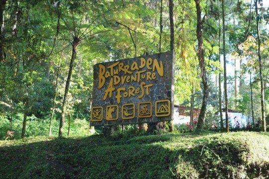 Sensasi Petualangan Tak Terlupakan di Baturraden Adventure Forest, Harga Tiket Terjangkau! 