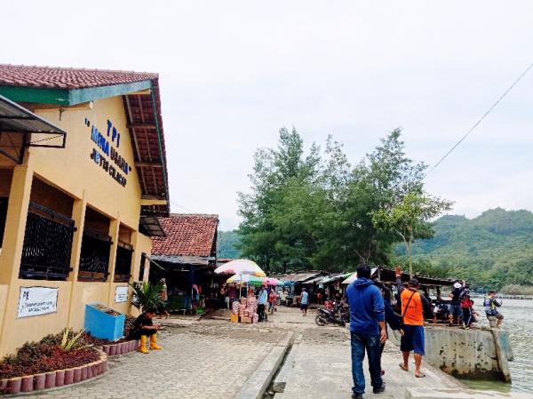 Wilayah Jetis Disiapkan Jadi Kawasan Perikanan Terpadu, Potensi Dongkrak Ekonomi Hingga Rp1,8 Miliar per Tahun