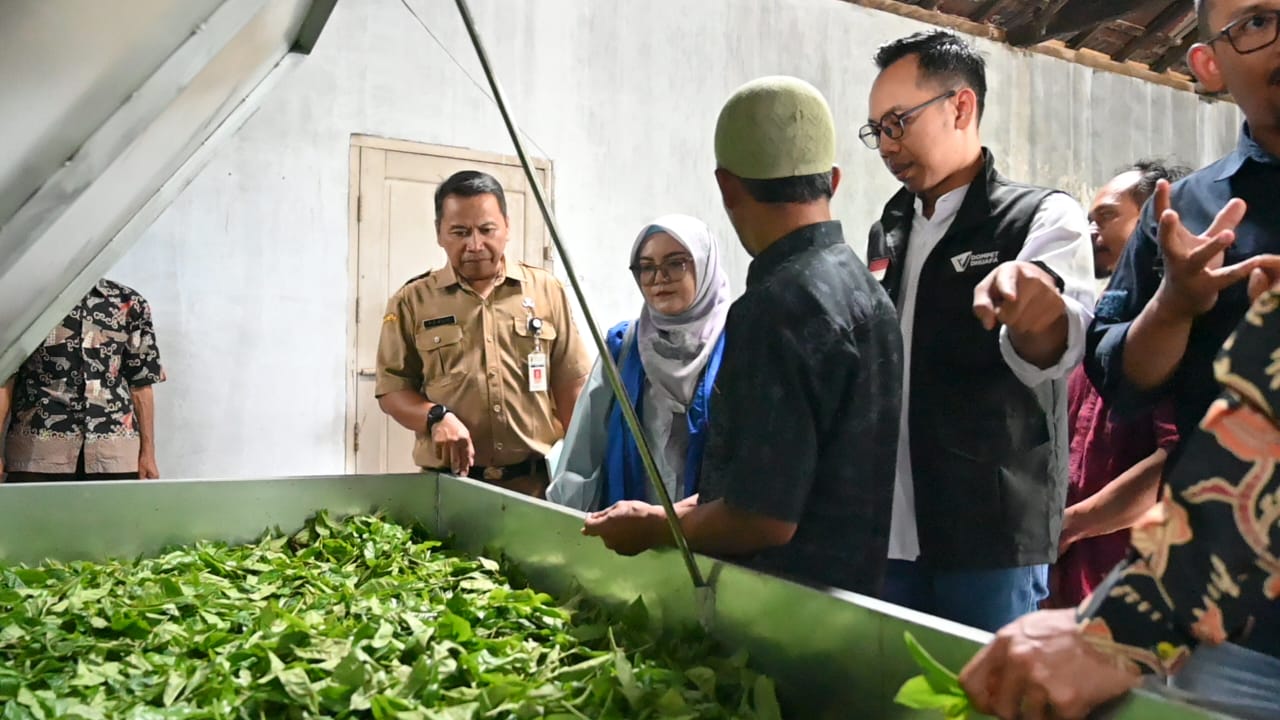 Teh Bedana Banjarnegara Didorong Tembus Pasar Nasional