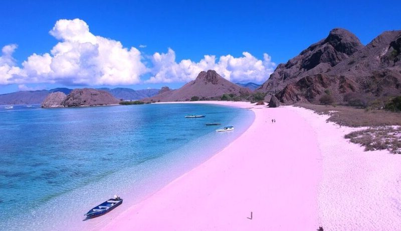 Pink Beach, Wisata Pantai Menakjubkan Di Pulau Komodo Indonesia