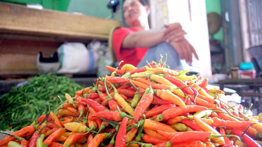 Harga Cabai Rawit Merah Tembus Rp 50 Ribu