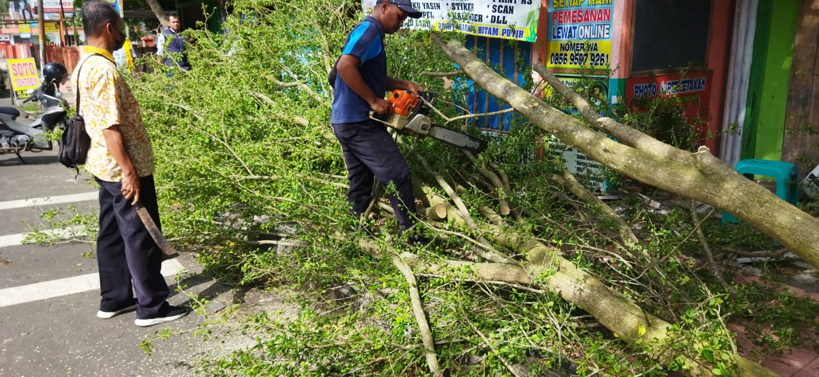 Innalillahi, Siswi SMP Meninggal Tertimpa Ranting Pohon di Cilacap