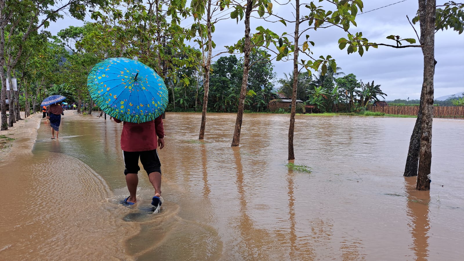 Banjir dengan Ketinggian 30 Cm Rendam Jalan Utama Notog - Cilongok di Grumbul Ronten 