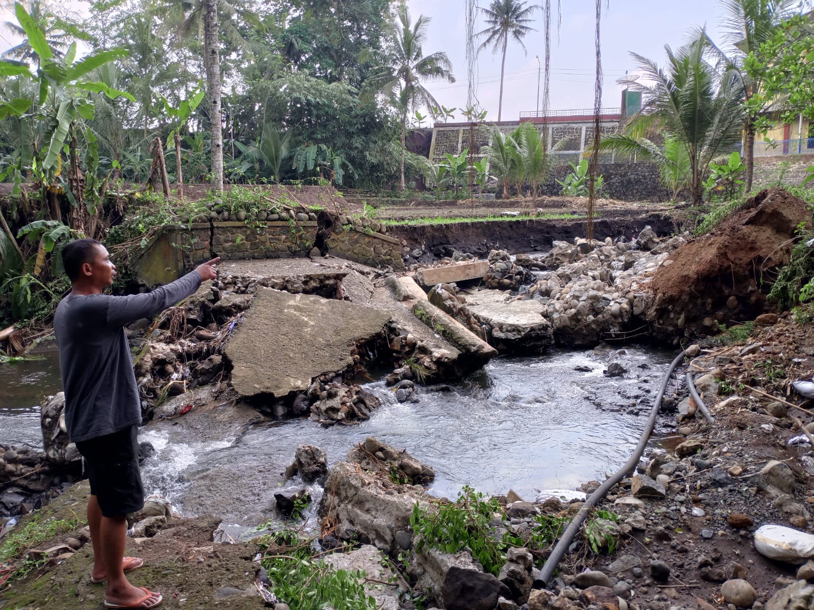 80.016 Meter Irigasi Rusak di Purbalingga, 26,5 Persen Lahan Masih Andalkan Hujan