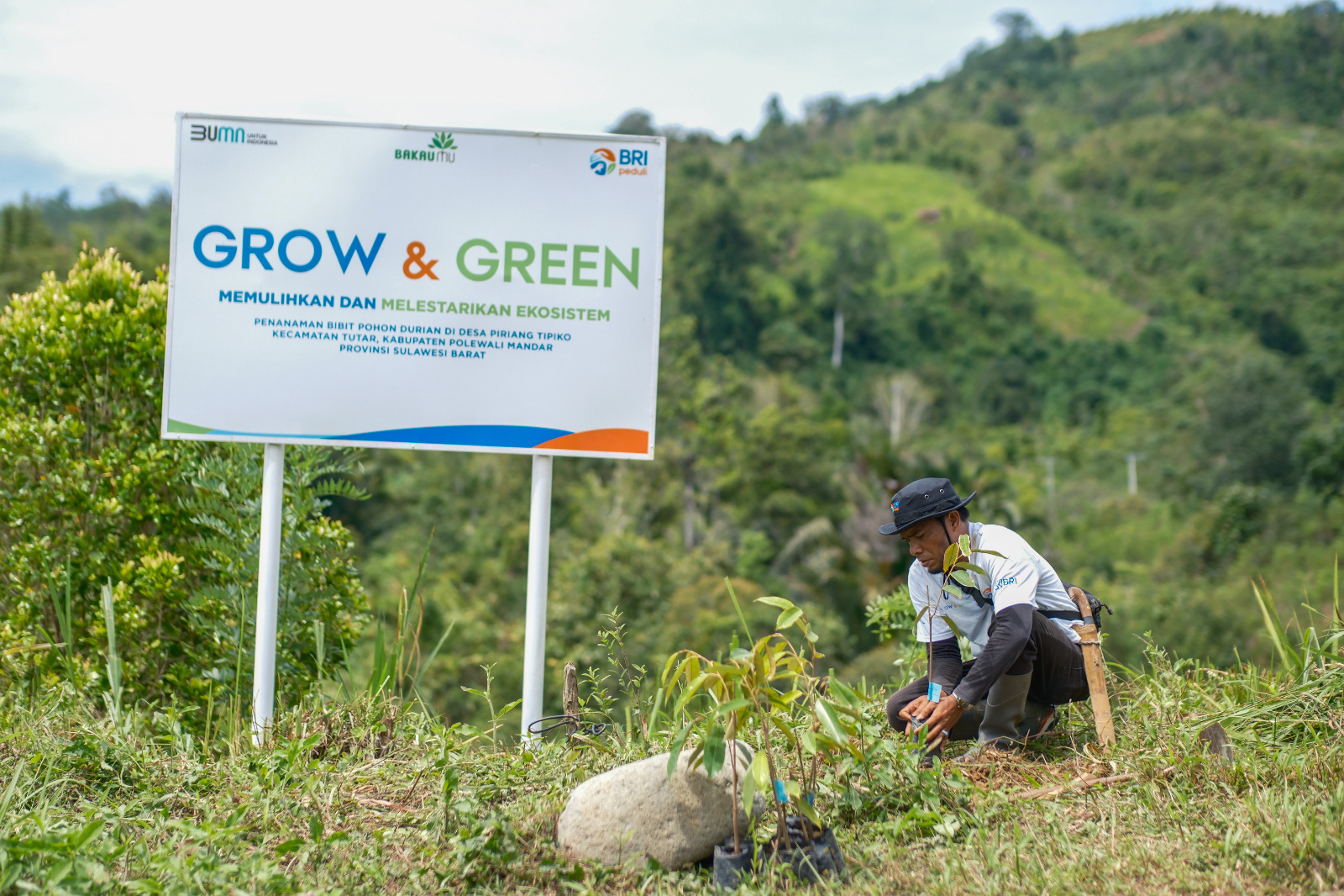 Bangkitkan Harapan Petani di Lahan Kritis, BRI Menanam Grow & Green Salurkan Bantuan Tanaman Produktif