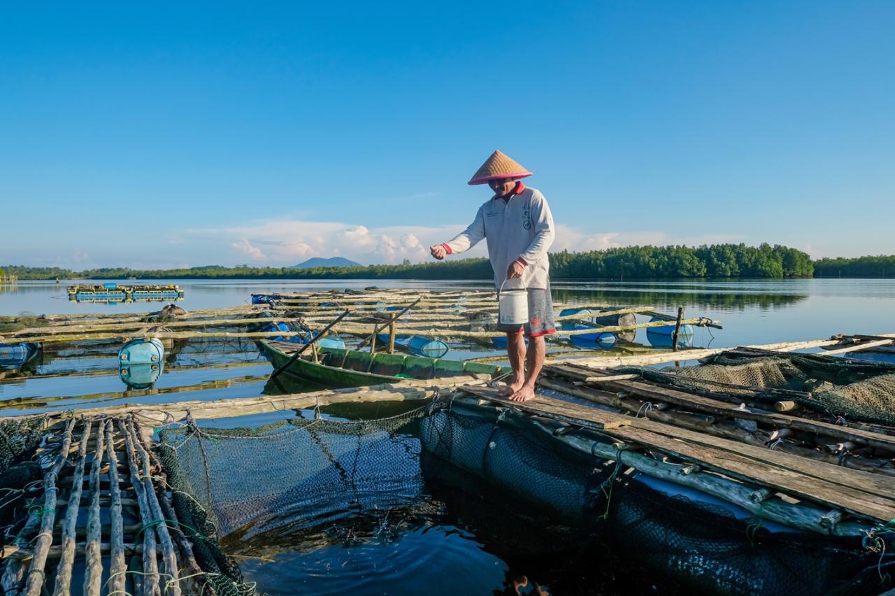 Dorong Sektor Produksi Bergeliat, BRI Salurkan KUR Rp69,8 triliun ke 8,3 Juta Debitur UMKM