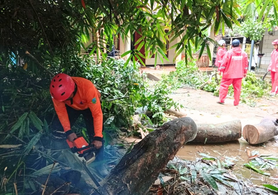 Pohon Tumbang dan Longsor Rusak Bangunan Warga Kebumen