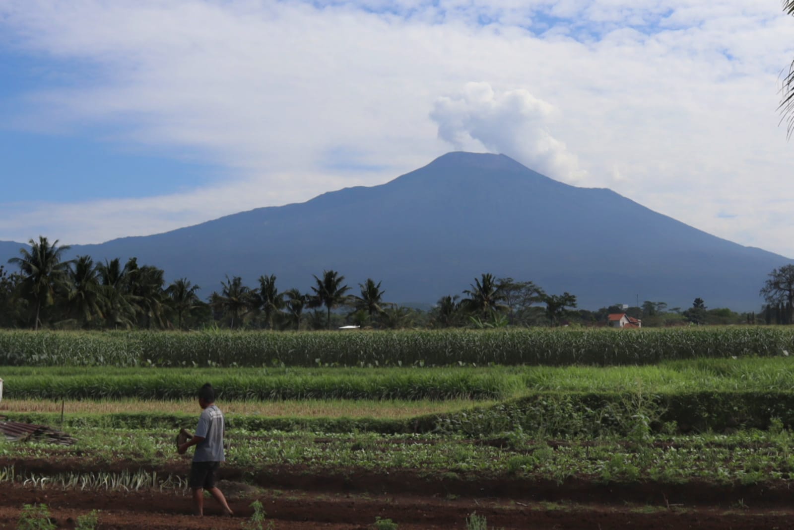 Aktivitas Gunung Slamet Meningkat, Status Masih Level 2 Waspada