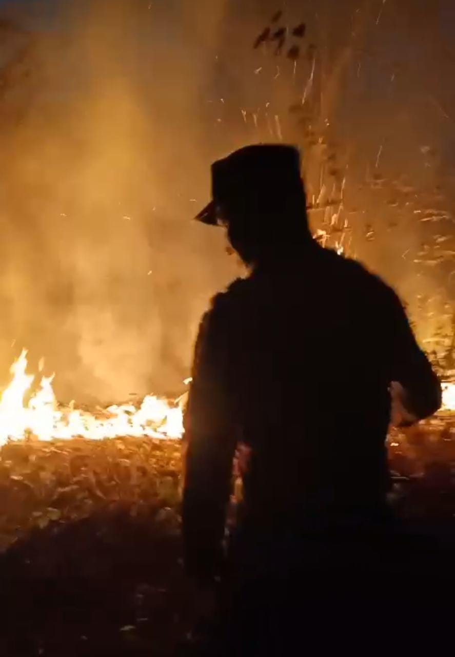 Cegah Api Meluas, Petugas Gabungan Berjibaku Memadamkan Kebakaran Hutan di Kebasen Banyumas