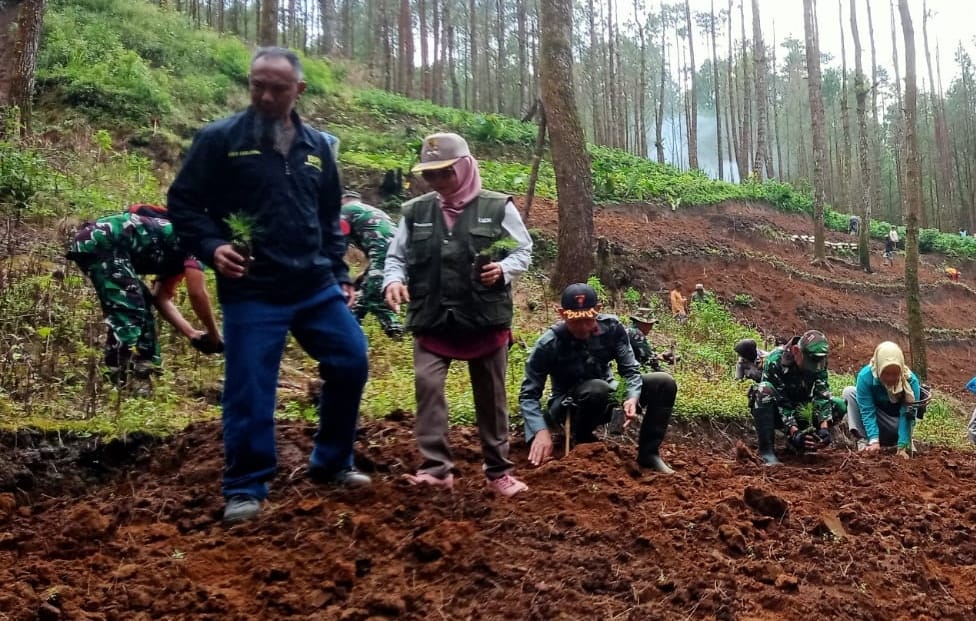 Reboisasi di Hutan Kalideres, Perhutani dan Warga Bersama Pulihkan Kerusakan Akibat Perambahan