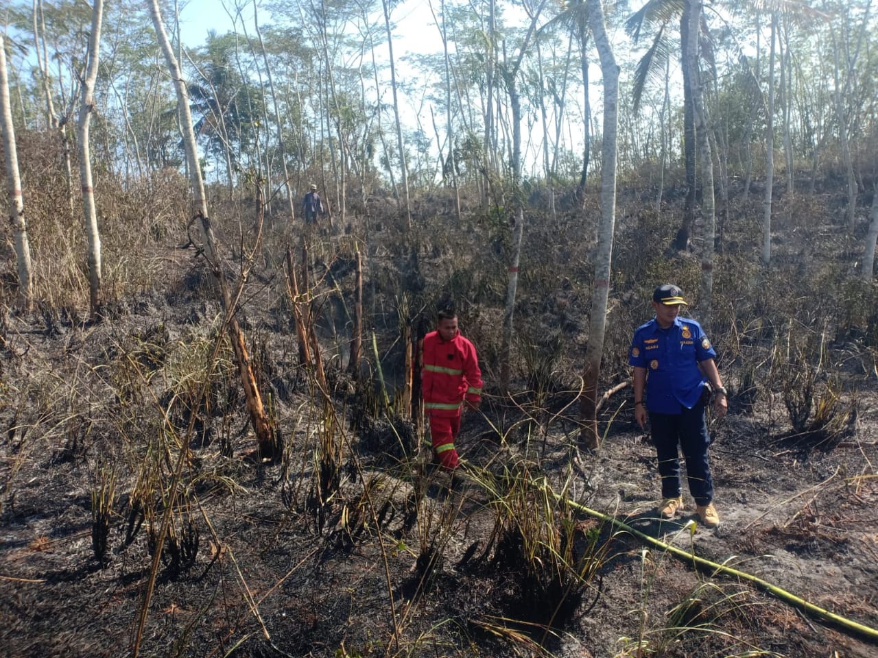 Bakar Sampah Sembarangan, Lahan Seluas 3,5 Hektare di Kedungwringin, Patikraja Ludes Terbakar