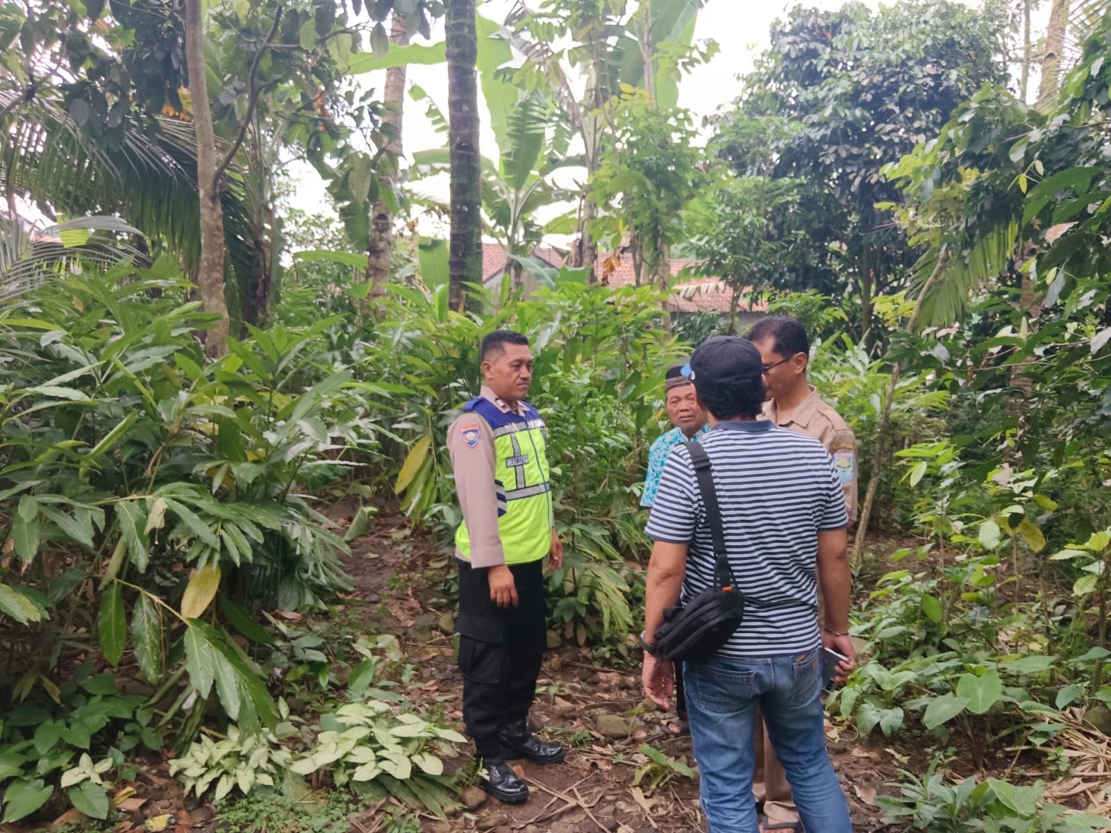 Jatuh dari Pohon Setinggi 16 Meter, Penderes Bobotsari Purbalingga Meninggal di Tempat