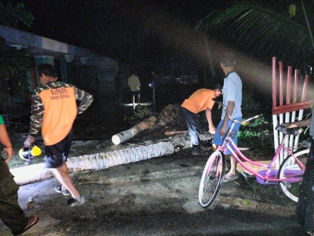 Pohon Tumbang Timpa Tiga Rumah di Adipala Cilacap 