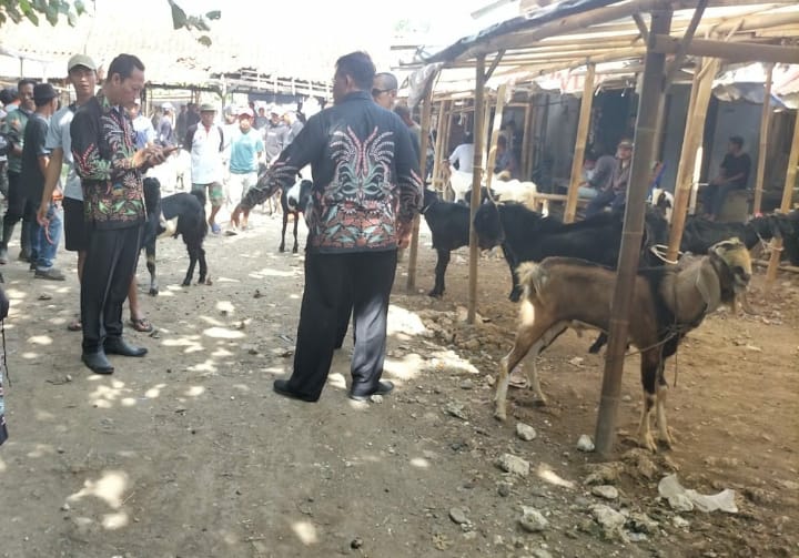 Dinperindag Cek Lokasi Pasar Unggas di Sumpuih, Terkait Adanya Laporan dari Masyarakat