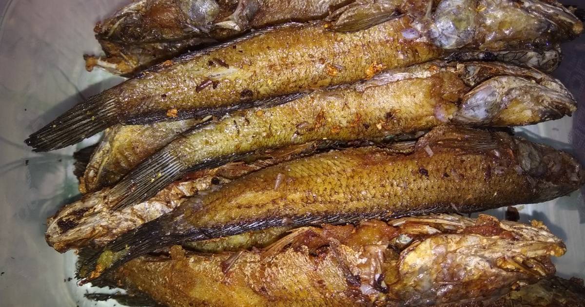 7 Manfaat Protein Ikan Gabus untuk Kesehatan, Penyembuhan Pasca Operasi