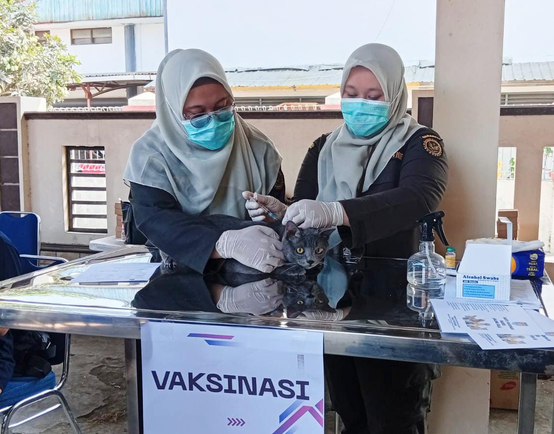 15 Ribu Hewan di Cilacap Berpotensi Bawa Rabies, 800 Ditarget Vaksin