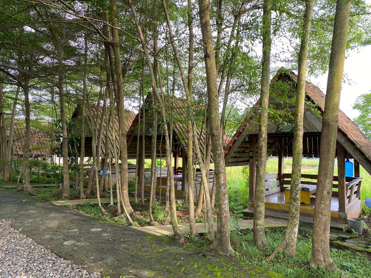 Godhong Ijo, Warung Makan Asri Bernuansa Alam dengan Menu Sambal Ijo Khas dan Cita Rasa Rumahan