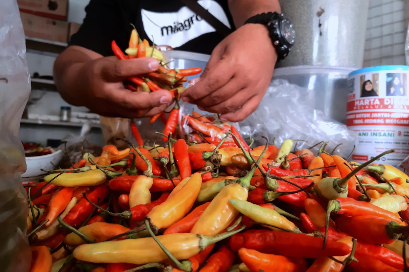 Lebih dari Satu Bulan Harga Cabai Rawit Merah Masih Jauh Diatas Harga Normal