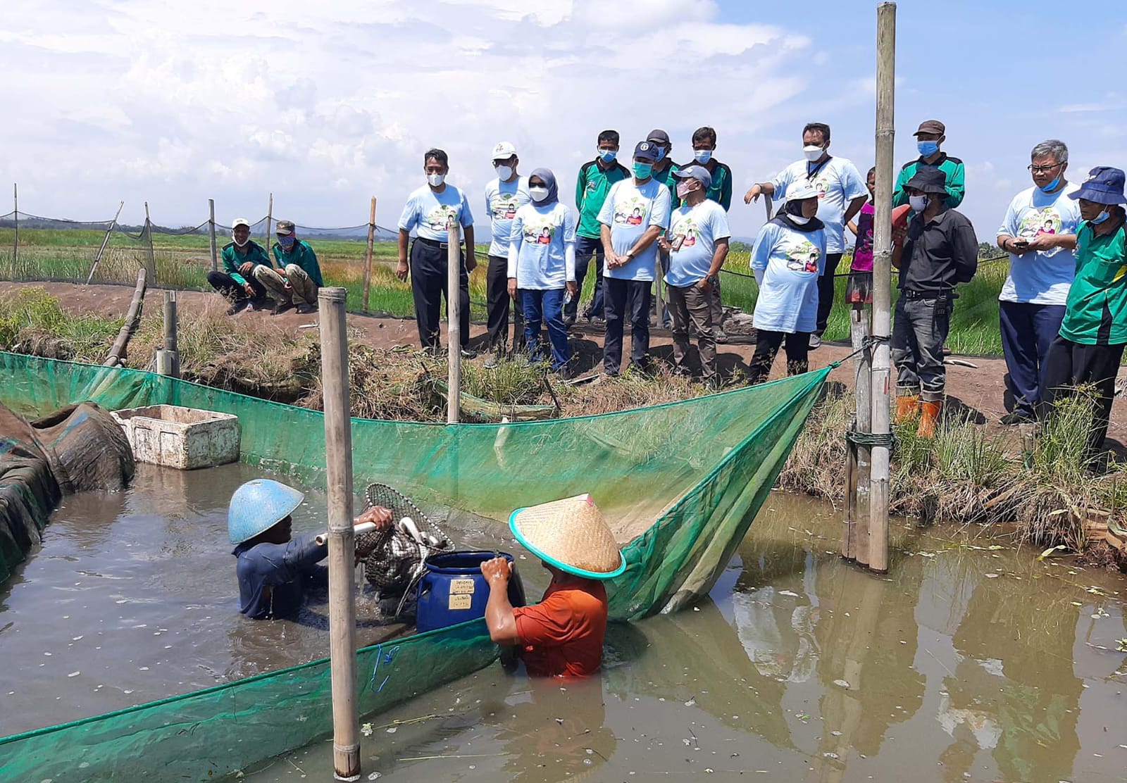 Produksi Sidat Cilacap Masih Minim, Pemkab Dorong Penambahan Kolam Budidaya