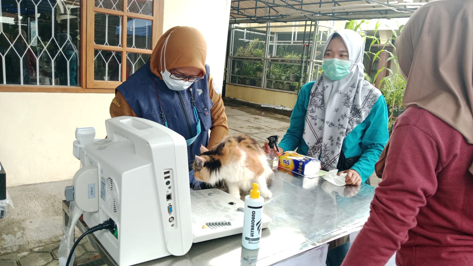 Cegah Rabies, Ratusan Hewan Peliharaan di Cilacap Jalani Vaksinasi dan Pemeriksaan Gratis