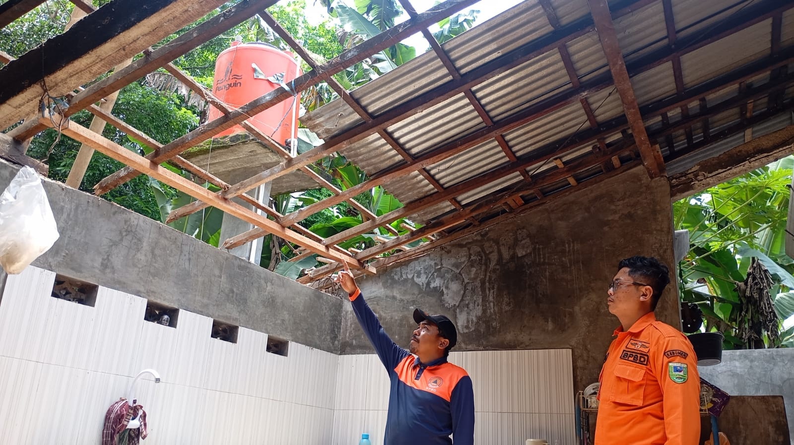 Hujan Deras Picu Pohon Tumbang dan Longsor di Tiga Kecamatan