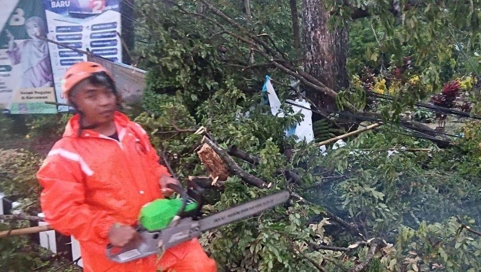 Cuaca Ekstrem Picu Pohon Tumbang di Sejumlah Kecamatan
