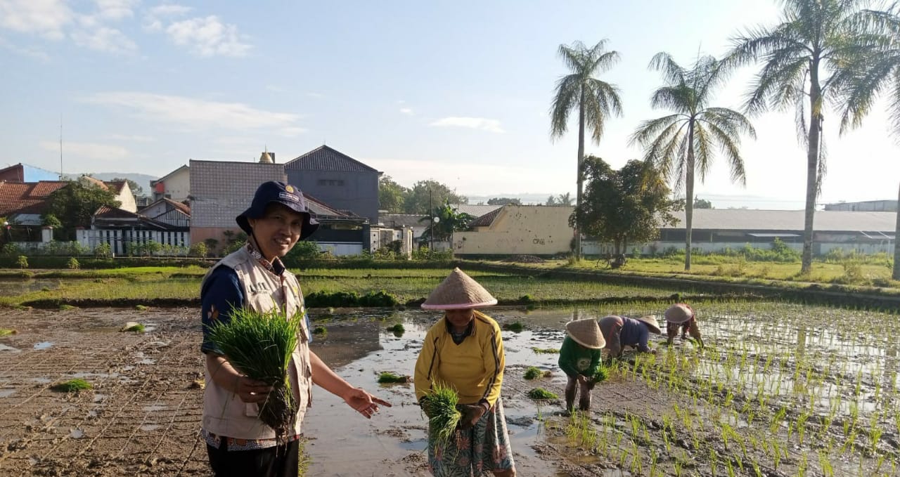 Irigasi Dikeringkan Dua Bulan, Petani Diminta Percepatan Tanam