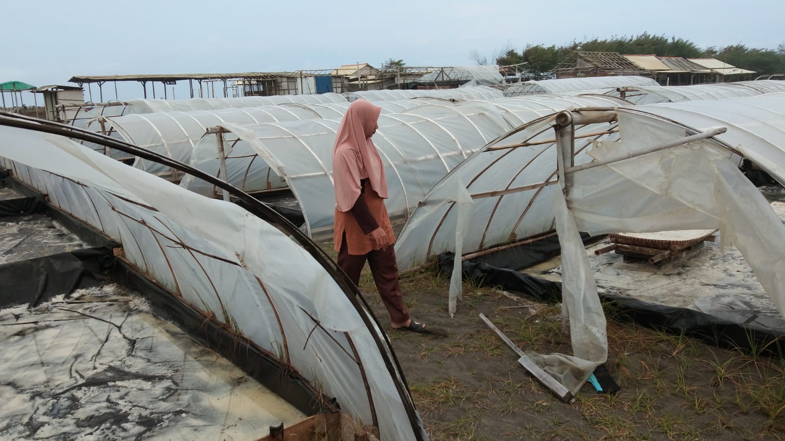 Abrasi Pantai Meluas, Tambak Garam di Bunton Terdampak dan Petani Merugi Ratusan Juta Rupiah