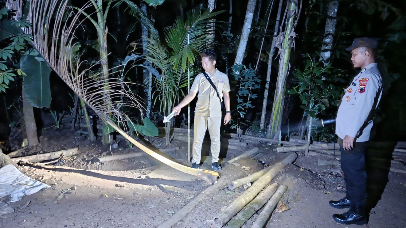 Lansia di Kemangkon Meninggal Dunia Jatuh dari Pohon Kelapa Setinggi 8 Meter
