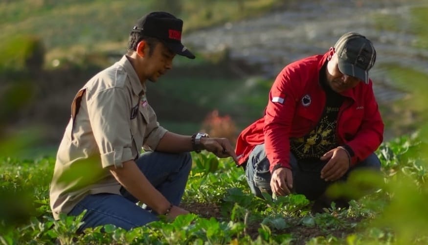 Harga Pupuk Bersubsidi Turun 20 Persen, Petani Banjarnegara Sambut Positif Langkah Presiden Prabowo
