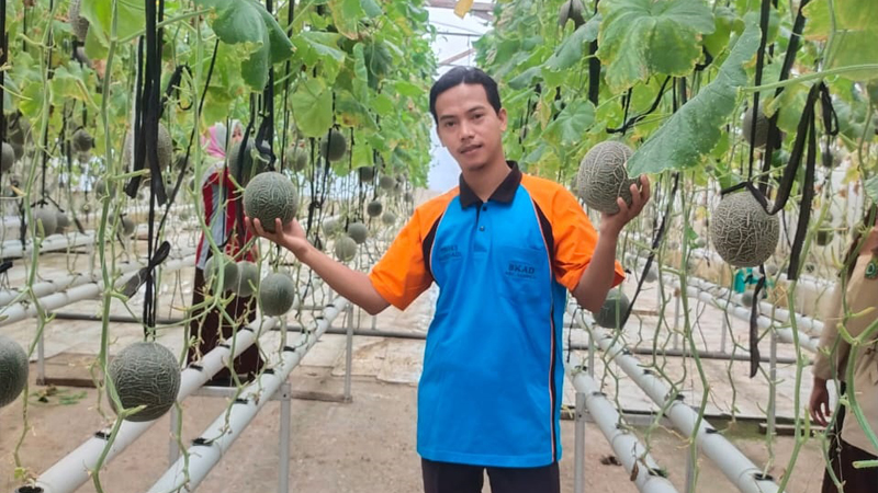 Tahun Baru, Desa Nusadadi Siapkan Wisata Petik Melon