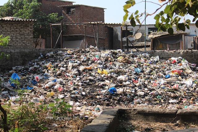 Tolak Pengelolaan Sampah Sejumlah Perusahaan, DLH Kehilangan Potensi PAD Hingga Rp 70 Juta
