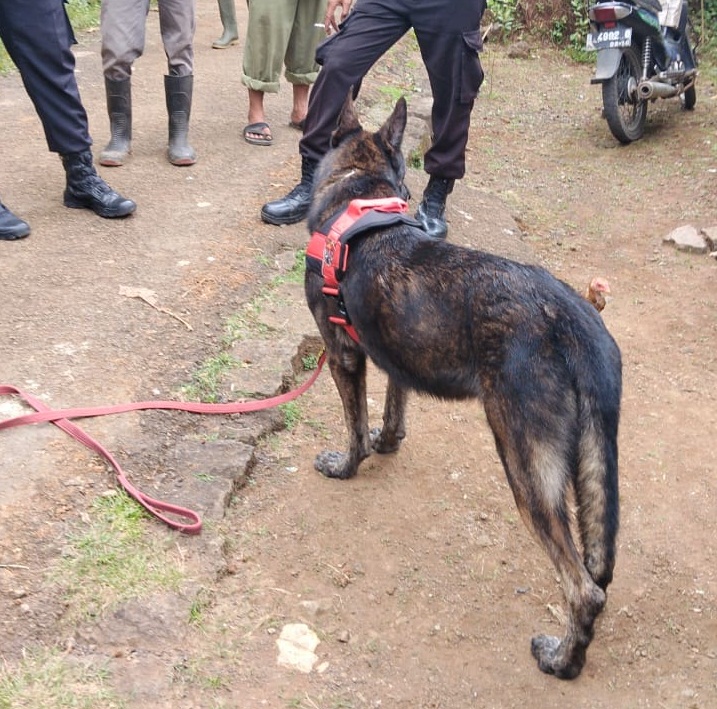 Pengerahan Anjing Pelacak Untuk Mencari Wasroh yang Disebut Warga Dikaitkan Gerbang Mistis Dilakukan Tiga Hari