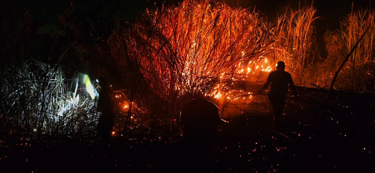 Api Bakar Setengah Hektare Bukit Suruh Wangon Banyumas, Angin Kencang Hambat Pemadaman 