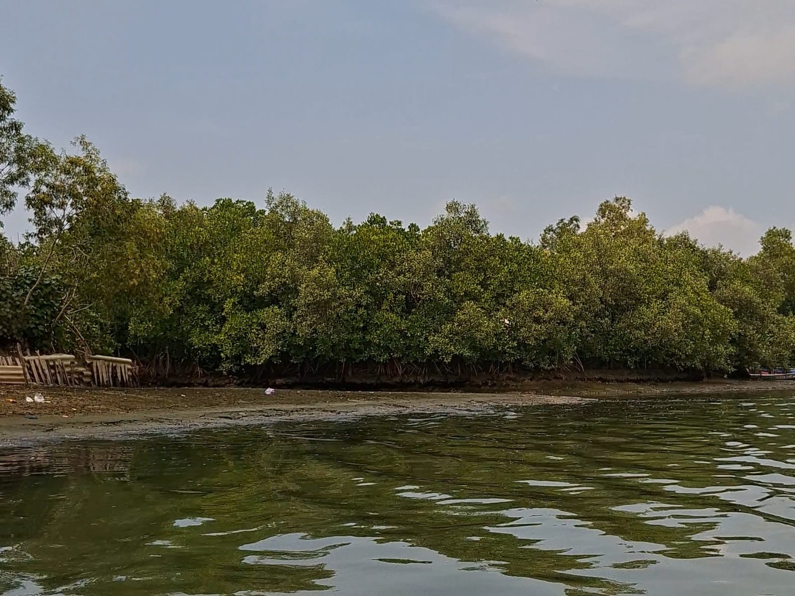 Konservasi Mangrove Sida Asih Dongkrak Ekonomi Warga Kutawaru