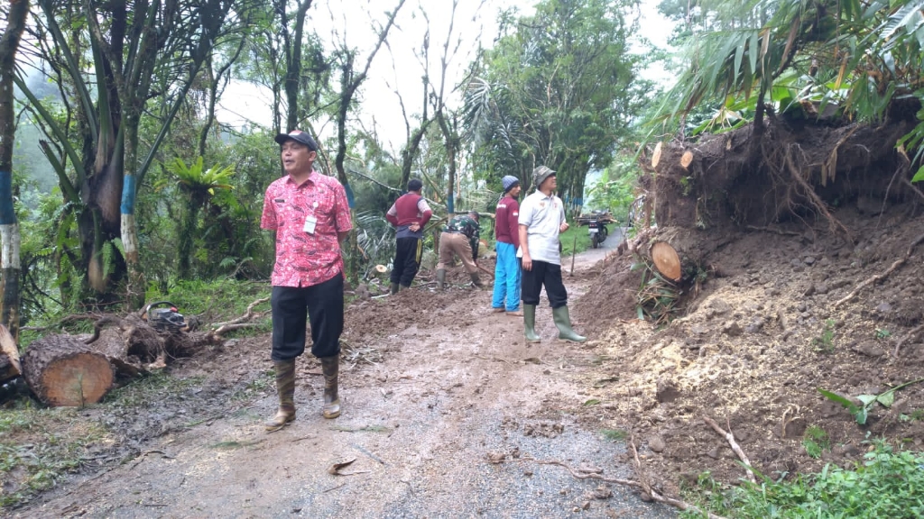 Pohon Tumbang Tutup Jalan Kramat- Sirau, Begini Kondisinya