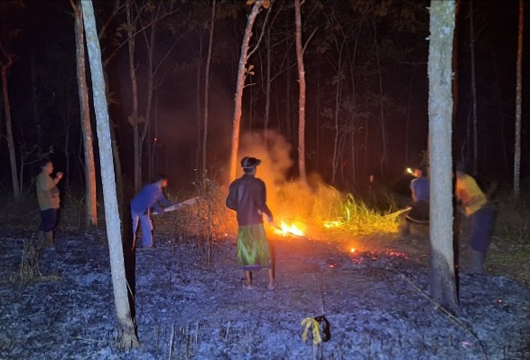 Lahan Jati Milik Perhutani di Sidareja, Cilacap Terbakar, Penyebab Belum Diketahui