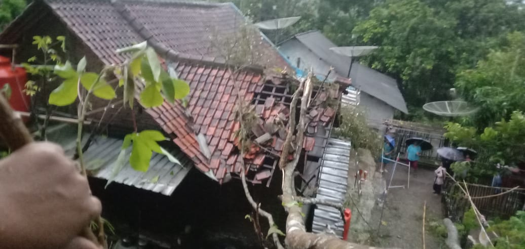 Dua Rumah Warga Sadang Rusak Tertimpa Pohon