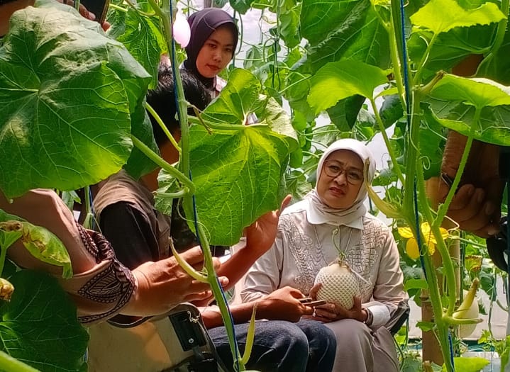 Lilis Dukung Petani Millenial di Kebumen untuk Berkembang