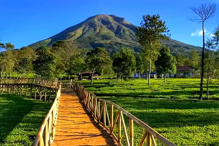 Murah Banget! Ini Wisata 5 Ribuan di Wonosobo