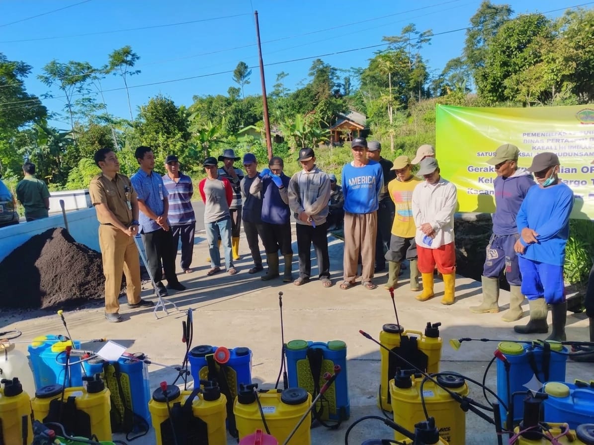 Cegah Serangan Ulat Grayak Meluas, DPPP Purbalingga Semprot 5 Hektare Lahan Tembakau di Serang