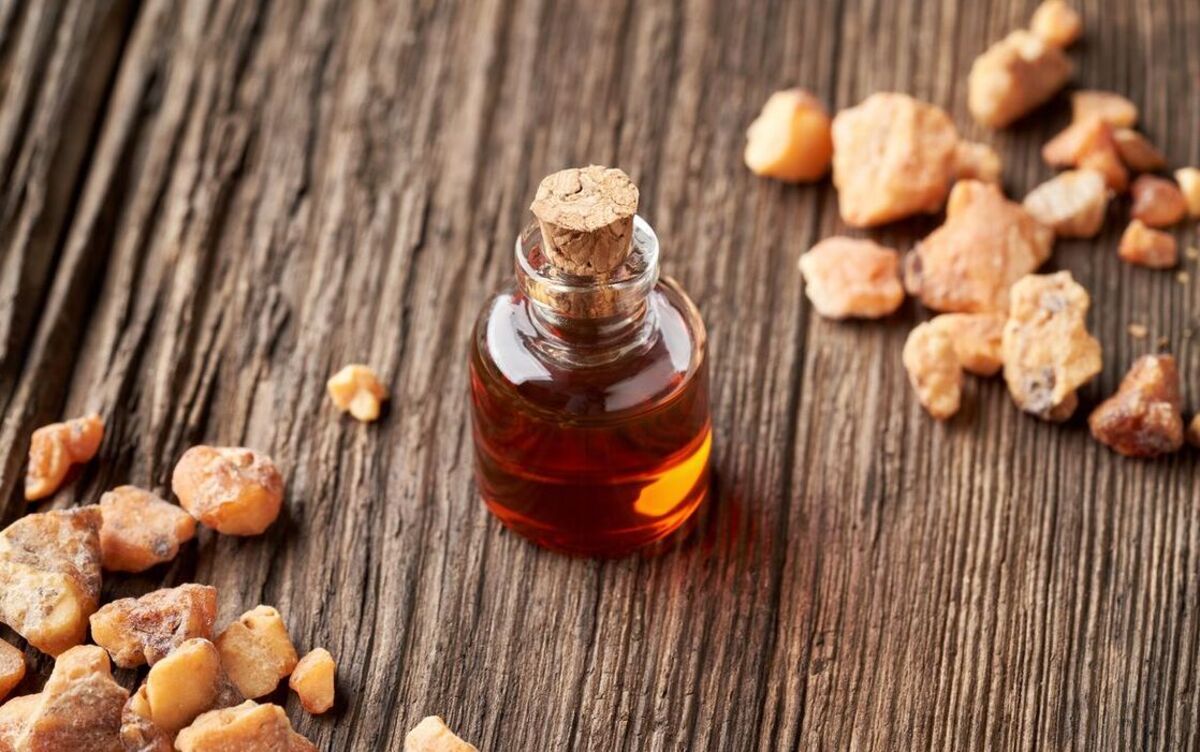 Gibran Rakabuming Ungkap Kemenyan Kini Bisa Dijadikan Parfum, Ternyata Begini Cara Pengolahannya