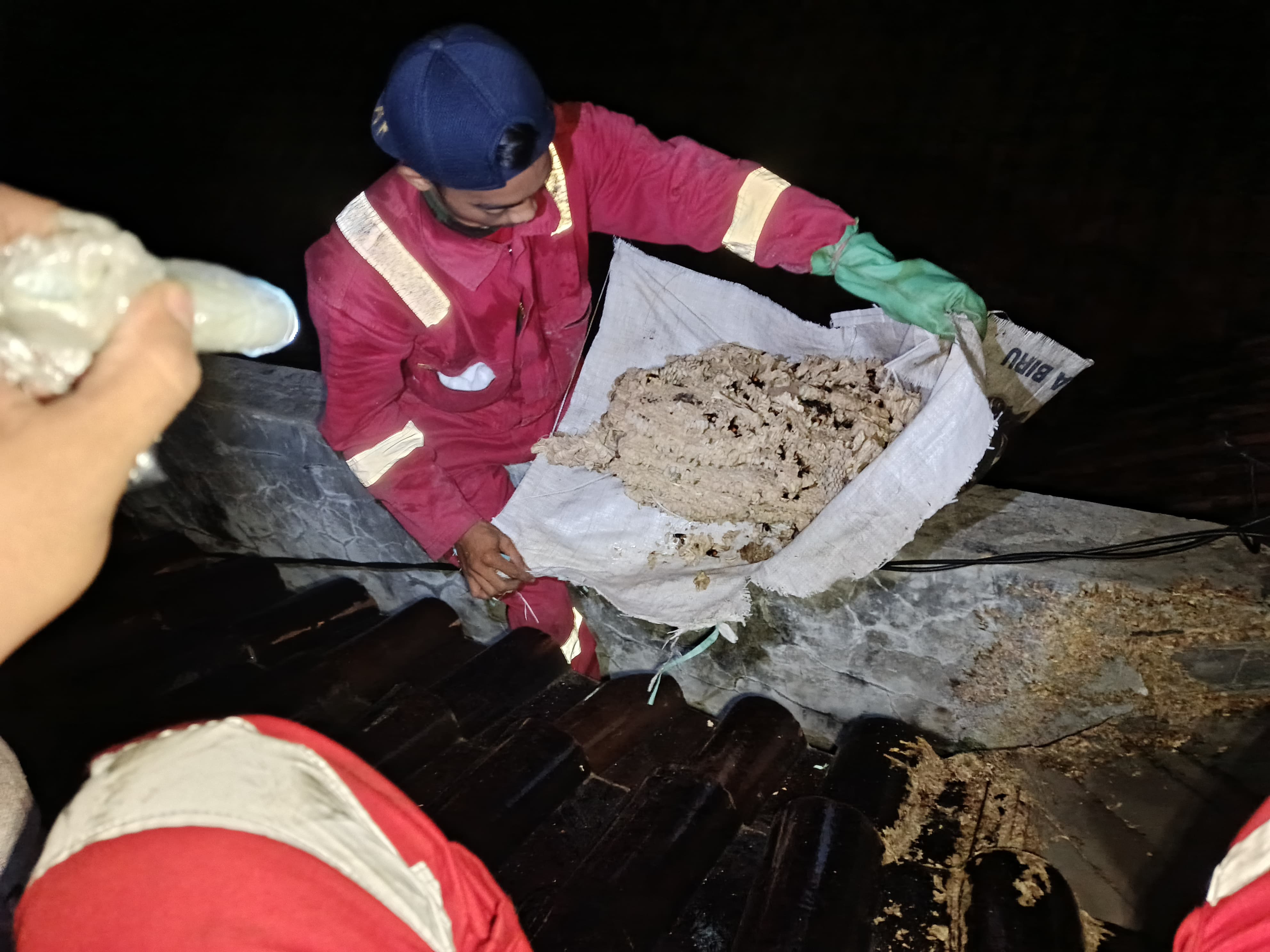 Penanganan Sarang Tawon Digencarkan, Damkar Cilacap Prioritaskan Laporan 