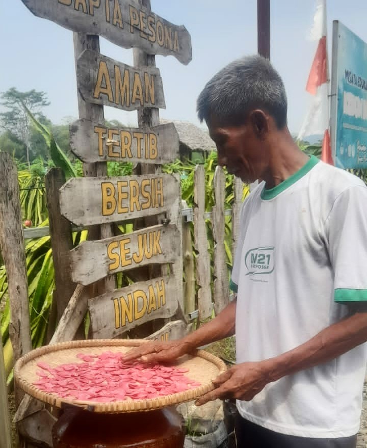 Kreatif, Sutrisno Inovasi Kerupuk Buah Naga